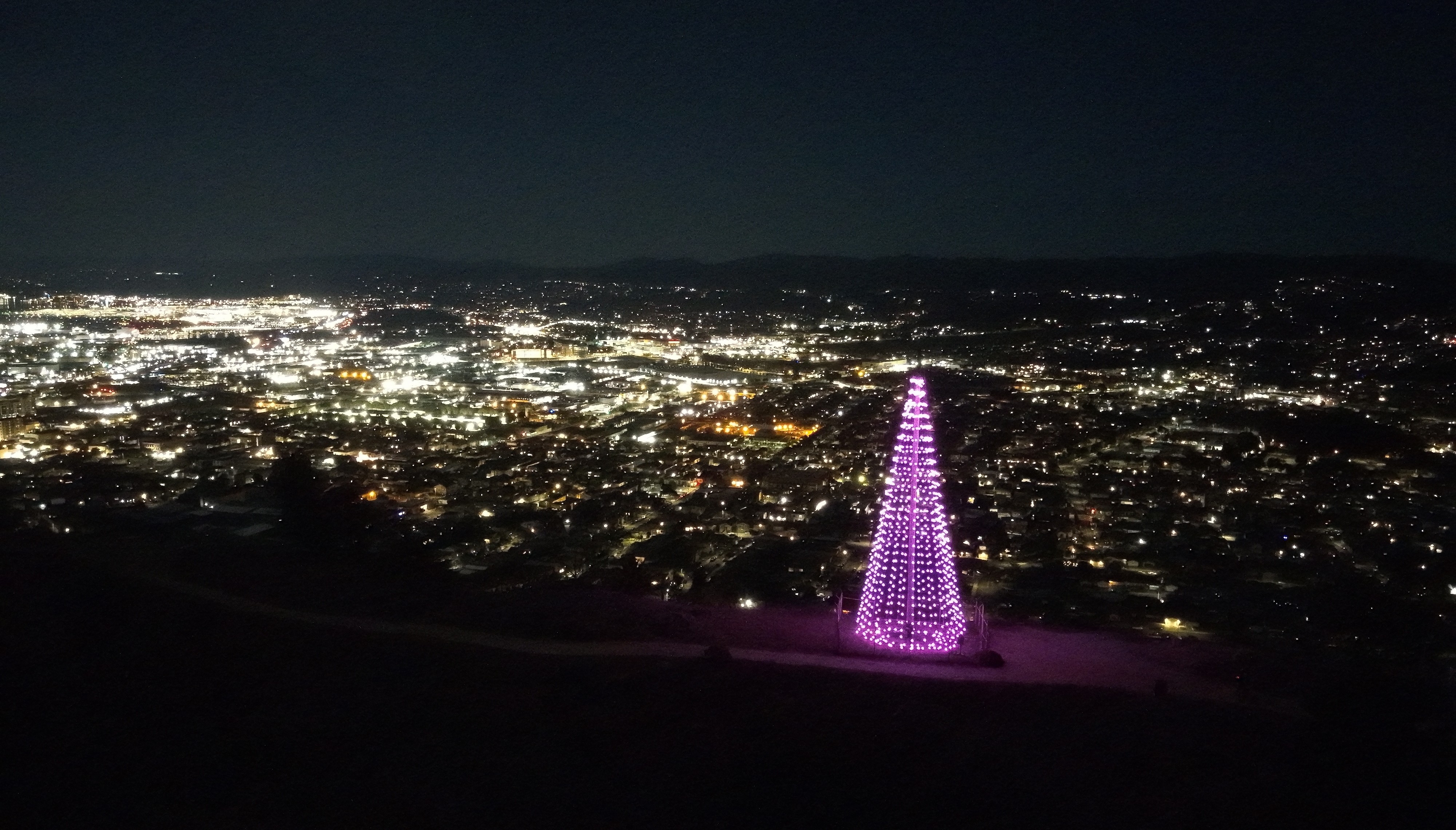 pink tree ssf night