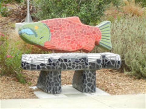Salmon's Shadow
