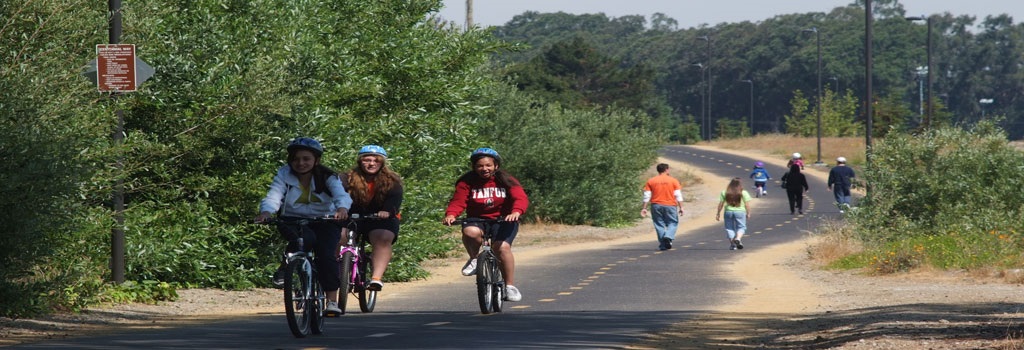 people riding bikes